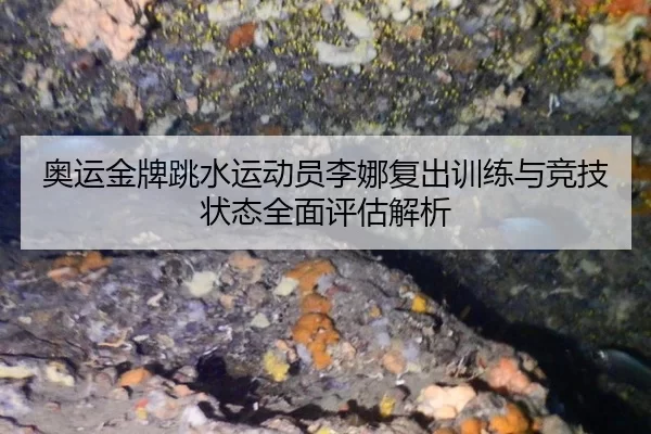 奥运金牌跳水运动员李娜复出训练与竞技状态全面评估解析